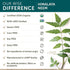 Himalaya Organic Neem Herbal Skin Supplement, 600 mg, 60 Plant-Based Caplets, Mild Acne Support