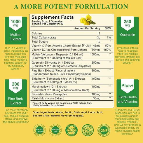 (2 Pack) 9 in 1 Mullein Gummies for Lung Cleanse, Extra Strength 10000MG(10:1 Extract) Mullein Leaf Extract w/Quercetin, Bromelain, Elderberry & Marshmallow for Respiratory, Immune, Vegan,120 Cts
