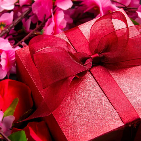 1 Inch Red Organza Ribbon, 50 Yard Sheer Chiffon for Gift Wrapping, Transparent Wired Tulle for Holiday Presents