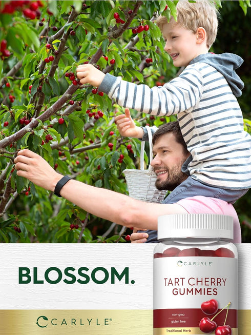 Carlyle Tart Cherry Gummies | 2000mg | 70 Count | Vegan, Non-GMO Cherry Flavor Supplement