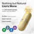 Lions Mane Supplement Capsules - Vegan, Organic Lion’s Mane Mushroom for Cognitive Function | 3 Months Supply