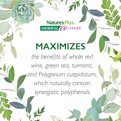 Natures Plus Herbal Actives Resveratrol, 125 mg, 60 Vegetarian Tablets for Health
