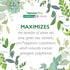 Natures Plus Herbal Actives Resveratrol, 125 mg, 60 Vegetarian Tablets for Health