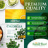 Sunlit USDA Organic Premium Chlorella Tablets, 500 Tabs, 100% Pure Superfood Supplement High in Protein and Vitamins