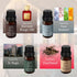 Scent Aura IV Set 4 Set Diffuser Oil of - Luxury Hotel & Designer Collection Diffuser Oil Scents| Gift