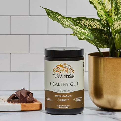 TERRA ORIGIN Healthy Gut Chocolate - 30 Servings with L-Glutamine, Zinc, Glucosamine, and More!