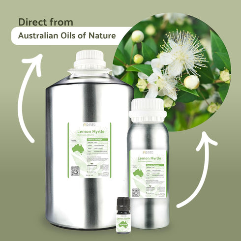 Lemon Myrtle Essential Oil 5 ml - Pure, Undiluted Therapeutic Grade Essential Oil for Fresh Citrus Aroma.