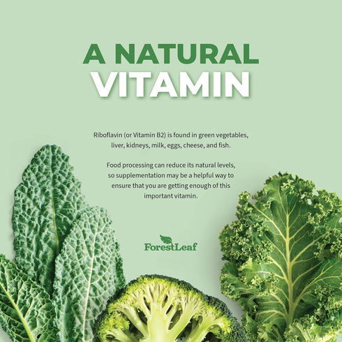 Vitamin B2 Riboflavin 400mg - Energy, Skin & Cellular Health Supplement - 90 Count 2-Pack, Non-GMO