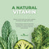 Vitamin B2 Riboflavin 400mg - Energy, Skin & Cellular Health Supplement - 90 Count 2-Pack, Non-GMO