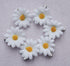SOWAKA 6 Pcs Daisy Hair Clips Vintage Sun Flower with Hair Alligators Clips Hair Barrette for Women Girls Wedding Summer Beach Bridesmaid Bridal Partis Hair Accessories (White)