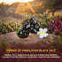 OKAY Himalayan Black Salt Detoxifying Foot Soak, 16 oz, Cleanse - Refresh - Relax for All Skin Types