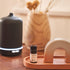 Juniper Ridge Cascade Forest Essential Oil - Crisp Woodsy Autumnal Scent with Douglas Fir & Pine Notes, 5ml