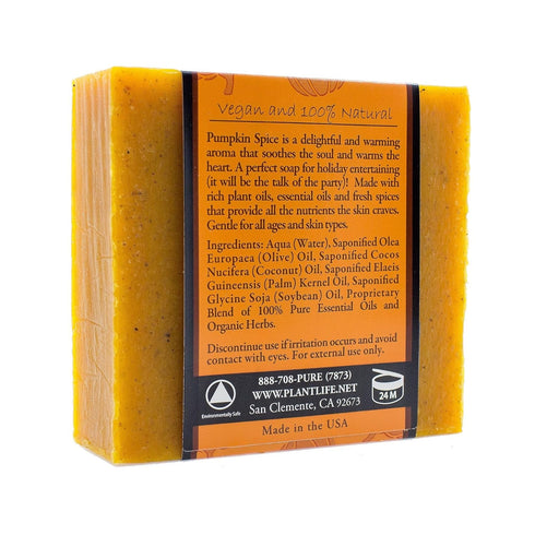 Plantlife Pumpkin Spice Bar Soap, Moisturizing and Soothing, 4oz Bar