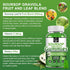 Organic Soursop Graviola Gummies, 2200mg Extra Strength, Zinc & Vitamin C, 60 Gummies, Vegan
