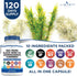 Sea Moss 3000mg, Black Seed Oil 2000mg, Ashwagandha 1000mg, Burdock 1000mg Root Mineral Support - 120 Count