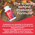 Health Plus Prebiotic Formula, Probiotics + Digestive Enzymes, 180 Capsules