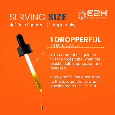 E2H Liquid Turmeric Curcumin for Better Absorption - Natural Joint Support - Turmeric Root Extract with Black Pepper