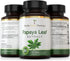 Florida Herbal Pharmacy, Papaya Leaf Extract Capsules 10:1 (120 Capsules)