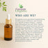Dr Joe Lab Apricot Kernel Oil - Cold Pressed Pure Natural Moisturizing for Hair and Skin (8 oz)