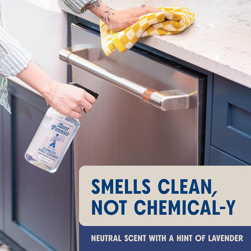 Pack 1 Aunt Fannie's Stainless Steel Spray Cleaner, Powered by Vinegar, Fingerprint and Residue Remover