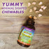 Bluebonnet Nutrition Rainforest Animalz Vitamin C Animal Shape Chewable Tablets, 250mg of Vitamin C, 90 Tablets,