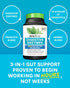 Zenwise Digestive Enzymes - Probiotic Multi Enzymes with Probiotics and Prebiotics for Bloating Relief for Women and