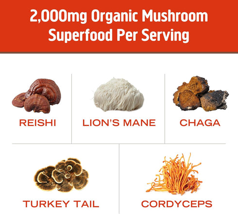 Om Mushroom Superfood Morning Energy Blend Drink, Single Serve, 10 Count - Coffee Free with Cordyceps, Vitamin D2