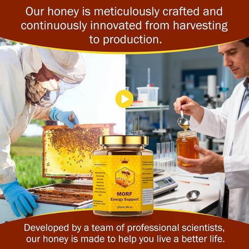 MORF Energy Support 250ml /8 oz Honey, Date Paste, with Pecan Nuts, Ginger Extract, Glass Jar
