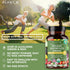 Plant.O Organic Super Greens - High Absorption Antioxidants from Green Powder for Immune Support, 60 Veggie Tablets