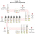 Nature's Elixir Skin Revitalizing Face Serum, USDA Organic, Physician Formulated