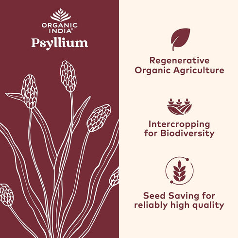 ORGANIC INDIA Psyllium Herbal Powder, Whole Husk Fiber, Keto Friendly, Vegan, Gluten-Free, 180 Capsules