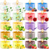 Jayhanvoe Aromatherapy Scented Candles 20 Pack - Small Candle Gift Set for Women