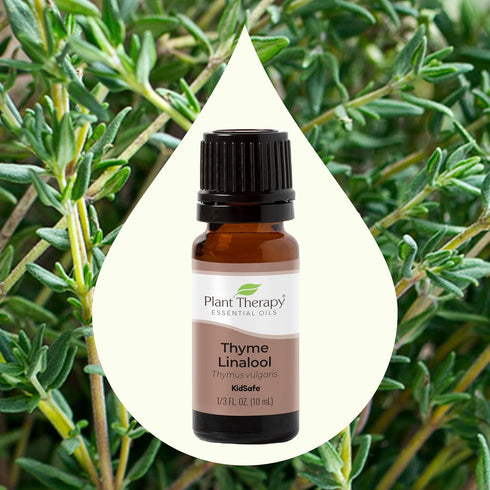 Plant Therapy Thyme Linalool Essential Oil, 10 mL (1/3 oz), 100% Pure, Undiluted, Therapeutic Grade