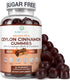 Purify Life Sugar-Free Ceylon Cinnamon Gummies (2,000mg/Serving) Vegan, Gluten-Free Herbal Cinnamon Supplement Replace Cinnamon