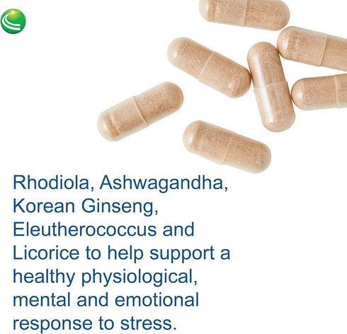 Nutra BioGenesis - BioAdaptogen Ultra with Ashwagandha, Rhodiola, Korean Ginseng for Stress Response, 60 Capsules