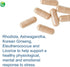 Nutra BioGenesis - BioAdaptogen Ultra with Ashwagandha, Rhodiola, Korean Ginseng for Stress Response, 60 Capsules