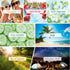 Summer 14, 20 Sets Spring and Fragrance Oils of MitFlor Bottles Premium Scented Oils for Diffuser, Soap and Candle