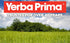 Yerba Prima Moringa - 180 Count Veg Caps - 400mg Pure Dried Leaf Powder, Non-GMO, Vegan Friendly