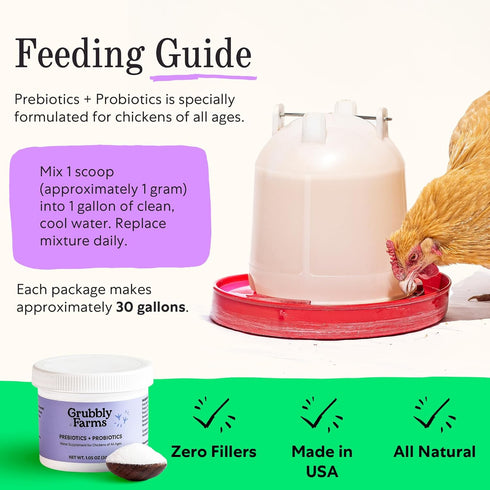 Grubbly Farms Prebiotics + Probiotics for Chickens, 30 Day Supply