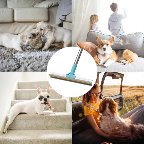 Carpet Rake for Pet Hair Removal, Reusable Cat Dog Hair Remover with 55’’ Long Handle for Carpets