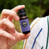 Edens Garden Lavender-French Essential Oil - 100% Pure, Natural, Therapeutic, 10 ml (.33 fl oz)