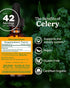 Herb Pharm Certified Organic Celery Seed Liquid Extract, 1 Ounce for Urinary System Support