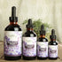 Immune (2oz, 120+ Earthley Wellness Elderberry Elixir Drops, Herbal Elderberry Syrup Alternative, Powerful