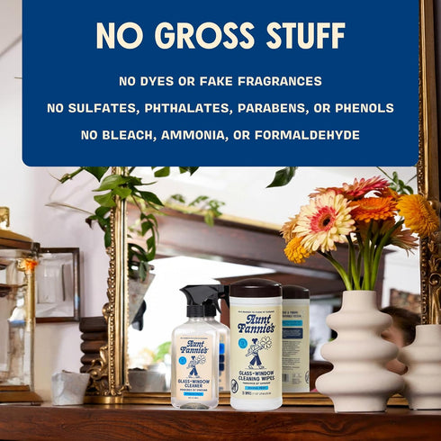 Pack 3 Aunt Fannie's Glass & Window Cleaning Bundle, Vinegar Spray and Wipes, Natural Streak-Free Spray