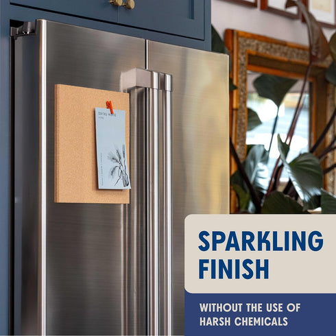 Pack 3 Aunt Fannie's Stainless Steel Spray Cleaner, Powered by Vinegar, Fingerprint and Residue Remover