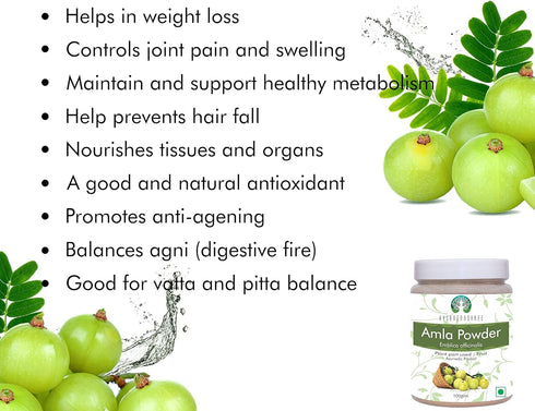 Amla Fruit Powder (Amalaki) 100 Gm | Raw, Non-GMO, Rich in Antioxidant Vitamin C, Vegan from India