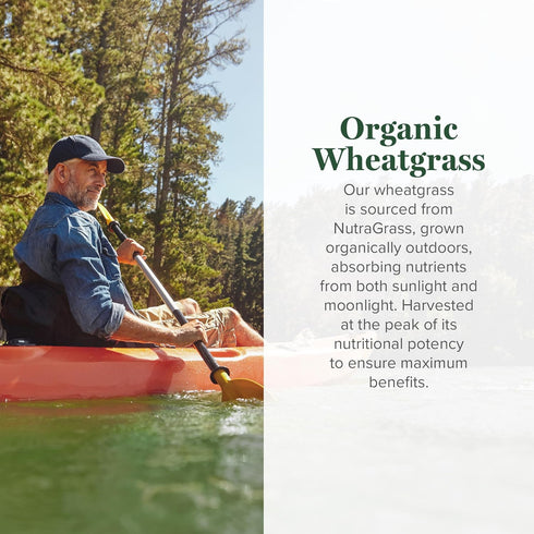 Global Healing Wheat Grass Powder Organic, 180g, Nutrient-Dense Raw Wheatgrass Juice Powder for Immune Support