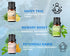 Essential Oil Set with Bonus Bottle Opener - Energizing and Relaxing Blends for Diffusers, Aromatherapy, DIY Candle
