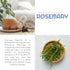 Organic Rosemary Essential Oil 4oz for Diffuser, Skin, Hair Growth, Body Oils, Aromatherapy, Aceite de Romero