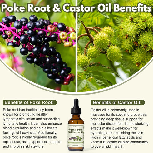 Yakucho 2 Oz (60ML) Poke Root Castor Oil Organic - Fl - Lymphatic Support Massage Liquid, Natural Deep Tissue Relief